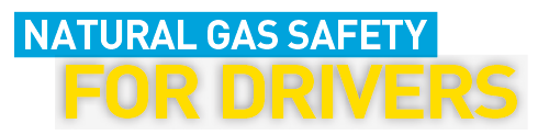 NGSafety Logo